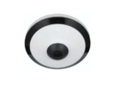 防犯カメラ 型式IPS-FISH5501